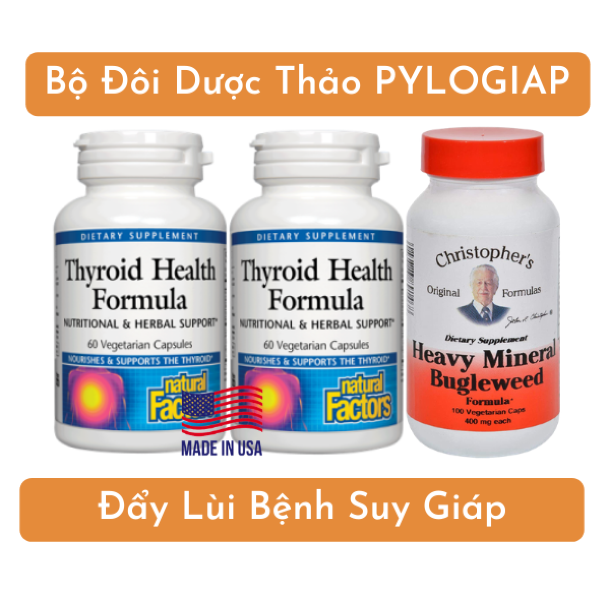 PyLoGiap – Thoát Khỏi Hành Hạ Tránh Xa Suy Giáp