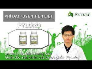 Bộ đôi dược thảo PyLoRo chữa bệnh phì đại tuyến tiền liệt