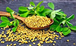 Cỏ ca ri thảo mộc để giảm cân