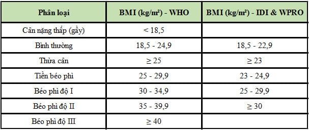 BMI và BMR của cơ thể