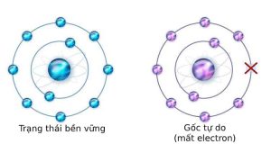 cấu trúc gốc tự do