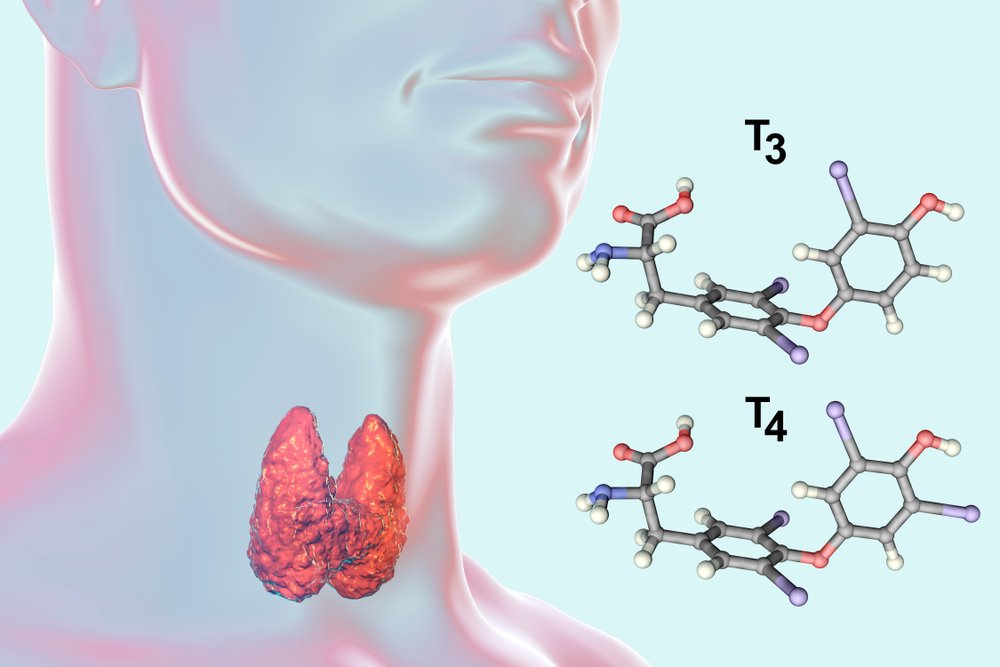 hormone tuyến giáp