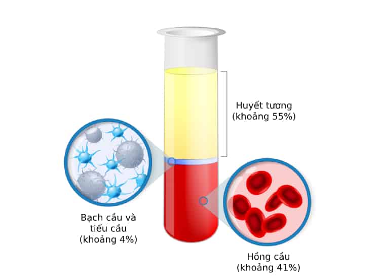 thành phần nhóm máu