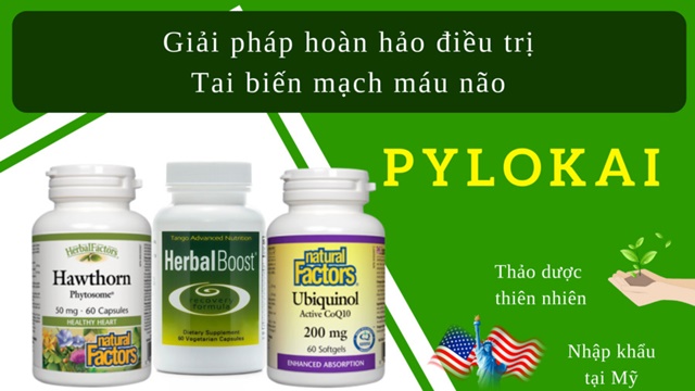 Bộ ba dược thảo PyLoKai giúp đẩy lùi đột quỵ