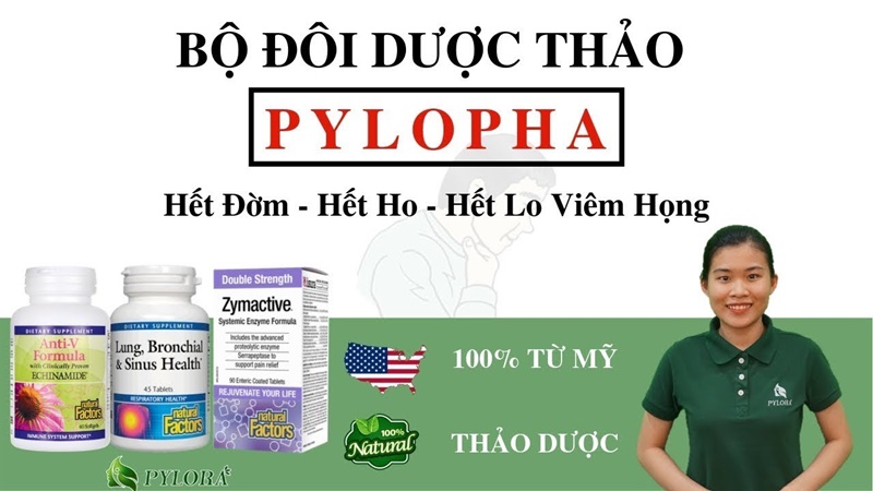 Bộ đôi dược thảo PyLoPha trị viêm họng an toàn và hiệu quả